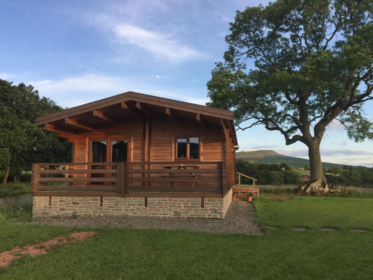 Redwood Lodge Ludlow Exterior photo
