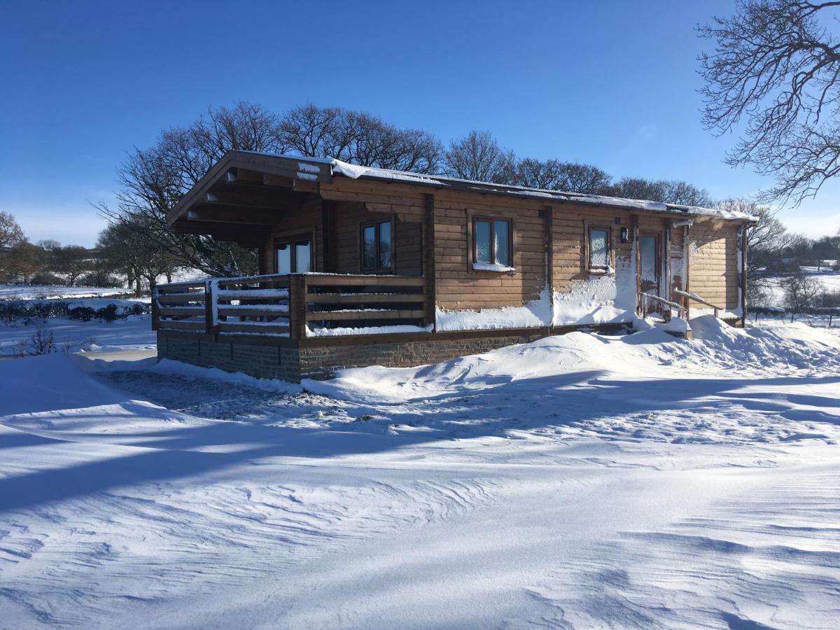 Redwood Lodge Ludlow Exterior photo
