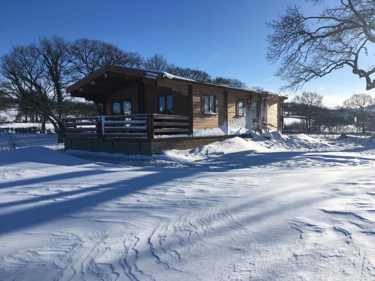 Redwood Lodge Ludlow Exterior photo